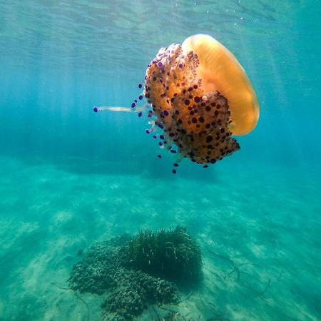 Complejo Turistico Los Bayiyos Agua Amarga  Zewnętrze zdjęcie