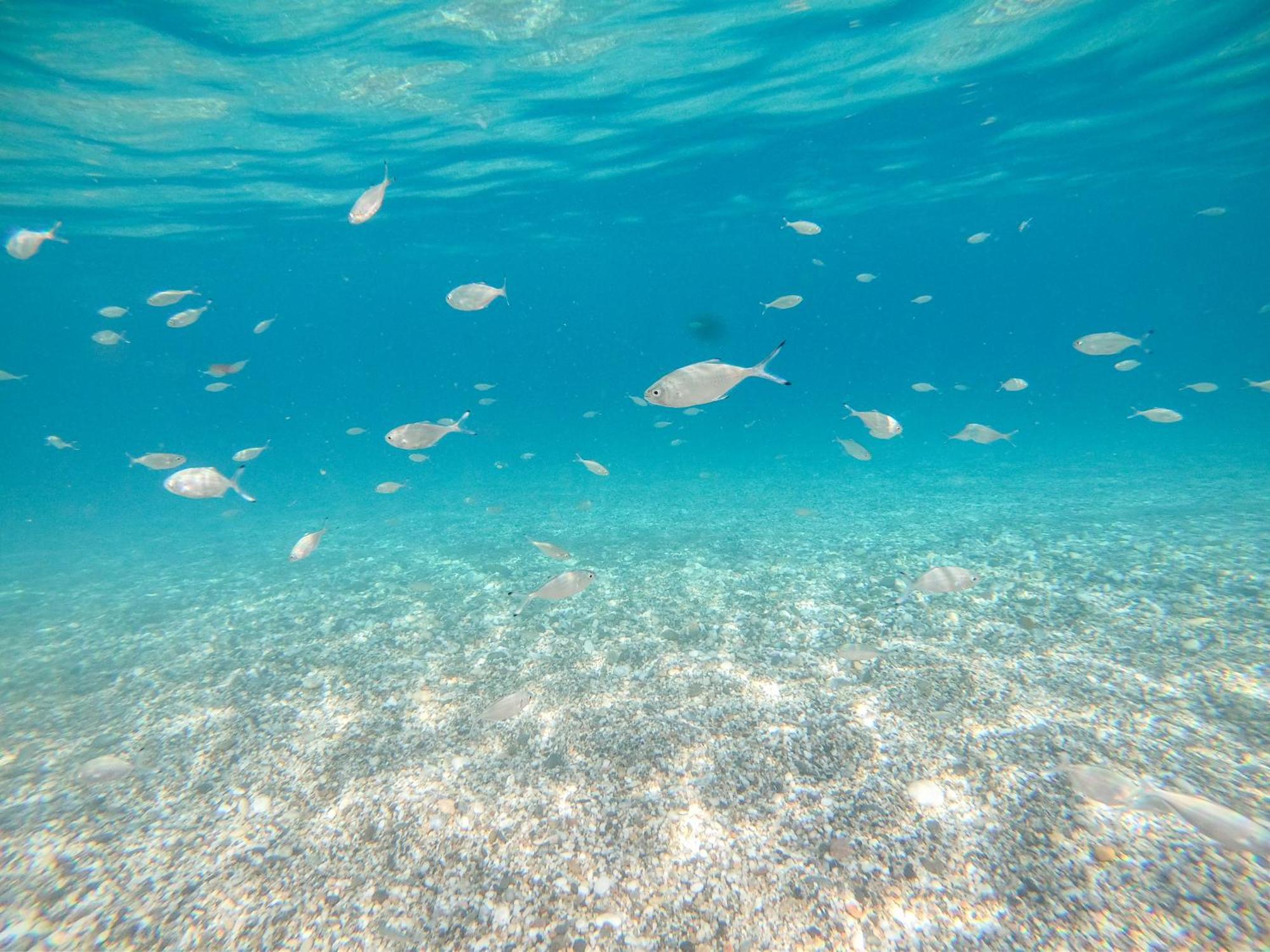 Complejo Turistico Los Bayiyos Agua Amarga  Zewnętrze zdjęcie